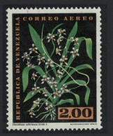 Venezuela Orchids 'Oncidium Zebrinium' 2B KEY VALUE 1962 Canc SG#1730 Sc#C803 - Venezuela