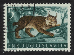 Yugoslavia Lynx Wild Animal 1954 Canc SG#766 MI#739 - Autres & Non Classés