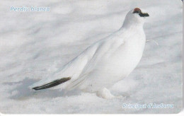 AND-149 TARJETA DE ANDORRA DE LA PERDIU BLANCA (PERDIZ-BIRD-PAJARO) - Andorre