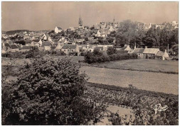 29 . N°50305 . Pont Croix  .  Panorama .  Cpsm 10 X 15cm. - Pont-Croix