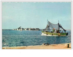 29.LOCTUDY.ILE TUDY.CHALUTIER RENTRANT AU PORT.CPSM - Loctudy