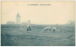 29 . N°38650 . Ile D Ouessant. Paysage Du Stiff - Ouessant