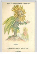 ILLUSTRATEUR.SOLEIL.CHAUS SURES FINOKI.5 USINES.HOMME SOLEIL - Before 1900