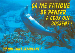 Animaux - Dauphin - Dolphin - Carte à Message - CPM - Carte Neuve - Voir Scans Recto-Verso - Delfines