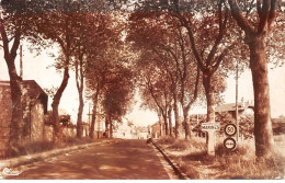 95 - SAN63541 - MARINES - Boulevard Gambetta - CPSM 14x9 Cm - Marines