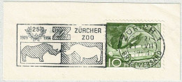 Schweiz / Helvetia 1954, Flaggenstempel Zürcher Zoo Zürich, Nashorne / Rhinozerosse / Rhinocerotidae - Rinoceronti