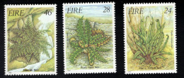 1998982496 1986  SCOTT 655  657 (XX) POSTFRIS  MINT NEVER HINGED - FAUNA - FERNS - Unused Stamps