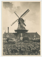 Postal Stationery Netherlands 1946 Windmill - Roderwolde - Mühlen