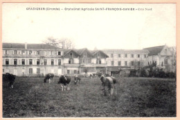 33 - B27579CPA - GRADIGNAN - Orphelinat Agricole Saint Françoit Xavier - Coté Nord - Très Bon état - GIRONDE - Gradignan