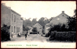 - B28397CPA - FOURON LE COMTE - FOURONS - Belgique - Boom Straat - Belgique - Bon état - EUROPE - Fourons - Vören