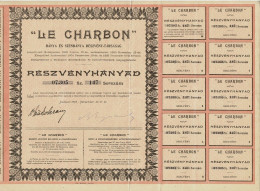 Titre De 1905 - Le Charbon - Société Anonyme Des Mines & Charbonnages - - Mines