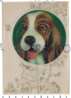 Carte 3D. Chien Clin D'oeil / Zwinkern / Wink / Knipoog - Stereoskopie