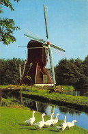 Haarlem - Molen - Haarlem