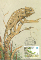 Carte Maximum - Portugal - Camaleao - Chamaeleo Chamaeleon - Chameleon - Maximum Cards & Covers