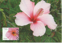 Carte Maximum - Portugal Madeira - Flores - Fleurs - Hibisco - Cardeal - Hibiscus Rosa Sinensis - Tarjetas – Máximo