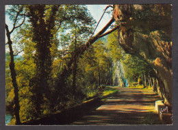 076861/ LES EYZIES, Environs De, La Route Baignée D'ombre Et De Lumière - Les Eyzies