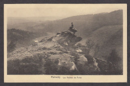 105358/ MALMEDY, Les Rochers De Falize - Malmedy