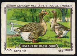 Nestlé - 49 - Oiseaux De Basse-Cour, Farm Birds - 4 - Oie De Toulouse, Toulouse Goose - Nestlé