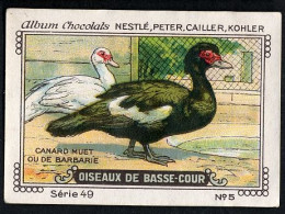 Nestlé - 49 - Oiseaux De Basse-Cour, Farm Birds - 5 - Canard Muet Ou De Barbarie - Nestlé