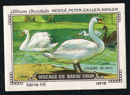 Nestlé - 49 - Oiseaux De Basse-Cour, Farm Birds - 12 - Cygne Blanc, Swan - Nestlé