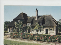 En Normandie : Maison Normande Au Toit De Chaume N°1696 Cap - Haute-Normandie
