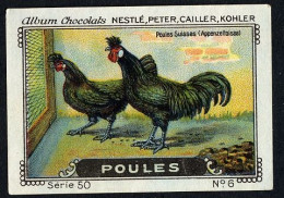 Nestlé - 50 - Poules, Chickens - 6 - Poules Suisses Appenzelloises - Nestlé