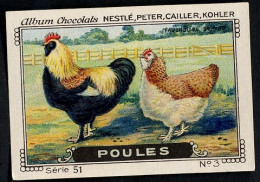 Nestlé - 51 - Poules, Chickens - 3 - Faverolles Saumon - Nestlé