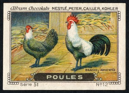Nestlé - 51 - Poules, Chickens - 12 - Braekel Argentées - Nestlé