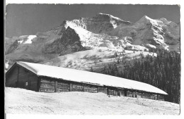 Suisse -   Bei Wengen - Jungfrau - Wengen