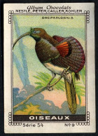 Nestlé - 54 - Oiseaux, Tropical Birds - 9 - Dreparuornis - Nestlé