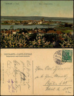 Ansichtskarte Werder (Havel) Blick Von Der Bismarckhöhe 1914 - Werder