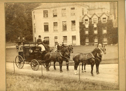 Photo Originale, Bel Attelage De Chevaux Au 19ème Siècle, Format 27/21 - Other & Unclassified