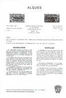 TAAF Notices Philatéliques Sans Les Timbres N° 1 De 1977 Au N° 322 De 2005 - Collections, Lots & Series