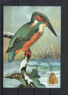 Année 1986 : Carte Maximum 2240 - Oiseaux - Martin-pêcheur - Buzin - Obli. Brussel-Bruxelles - 1981-1990