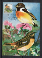 Année 1990 : Carte Maximum 2397 - Oiseaux - Traquet Pâtre - Buzin - Obli. Bruxelles-Brussel - 1981-1990