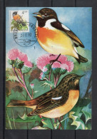 Année 1990 : Carte Maximum 2397 - Oiseaux - Traquet Pâtre - Buzin - Obli. Bruxelles-Brussel - 1981-1990