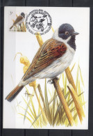 Année 1991 : Carte Maximum 2425 - Oiseaux - Bruant Des Roseaux - Buzin - Obli. Brussel- Bruxelles - 1991-2000