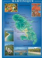 Carte Géographique De La Martinique, 1994. - Cartes Géographiques