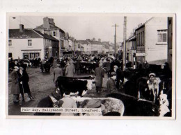 Fair Day Ballymahon Street LONGFORD, Carte Photo, Foire Agricole, Vaches, Carte Photo - Other & Unclassified