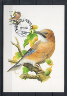 Année 1993 : Carte Maximum 2526 - Oiseaux - Geai Des Chênes - Buzin - Obli. Bruxelles-Brussel - 1991-2000