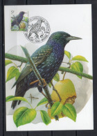 Année 1996 : Carte Maximum 2638 - Oiseaux - Etourneau Sansonnet - Buzin - Obli. Bruxelles-Brussel - 1991-2000