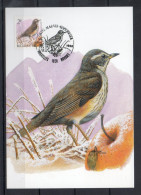 Année 1996 : Carte Maximum 2653 - Oiseaux - Grive Mauvis - Buzin - Obli. Bruxelles-Brussel - 1991-2000
