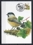 Année 1997 : Carte Maximum 2695 - Oiseaux - Mésange Boréale - Buzin - Obli. Brussel-Bruxelles - 1991-2000