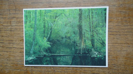 états-unis , South Carolina , Congarée Swamp National Monument Hopkins - Autres & Non Classés