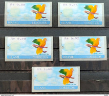 SE 25 To 29 Brazil Stamp Macaw Ararajuba Label Automaton 2003 1 - Ungebraucht