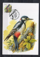 Année 2003 : Carte Maximum 3162 - Oiseaux - Pic épeiche - Buzin - Obli. Léopoldsburg - 2001-2010