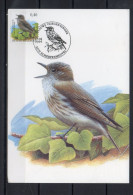 Année 2004 : Carte Maximum 3265 - Oiseaux - Gobemouche Gris - Buzin - Obli. Scherpenheuvel - 2001-2010