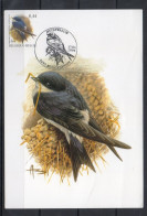 Année 2004 : Carte Maximum 3266 - Oiseaux - Hirondelle De Fenêtre - Buzin - Obli. Buggeshout - 2001-2010