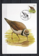 Année 2004 : Carte Maximum 3267 - Oiseaux - Petit Gravelot - Buzin - Obli. Louveigné - 2001-2010
