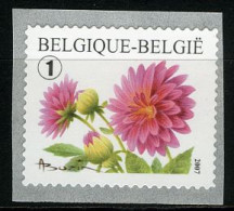 België R111 - Bloemen - Buzin (3684) - Dahlia - 2007 - Zelfklevende Rolzegel  - Franqueo